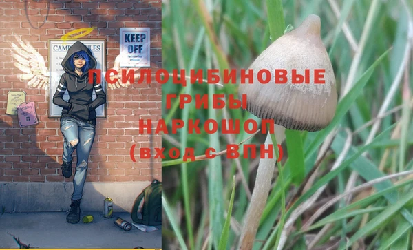 PSILOCYBIN Баксан